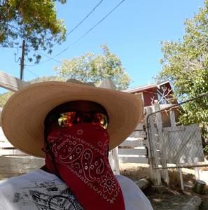 Meet your Posher, Curtis